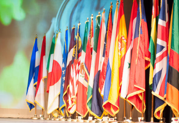 A line of international flags on display