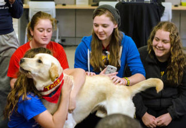 Therapy Dogs Visit Graceland University