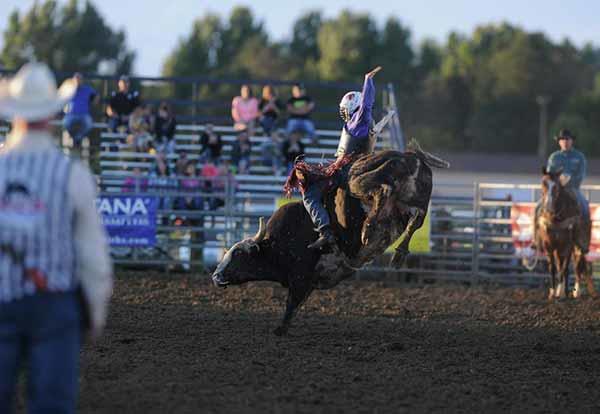 John Young bull riding in arena during competition while audience looks on