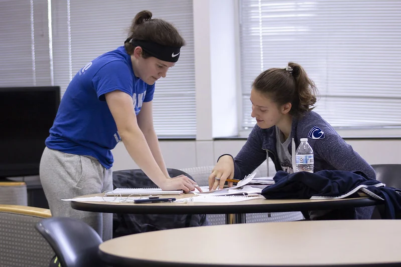 Two students working together on a project
