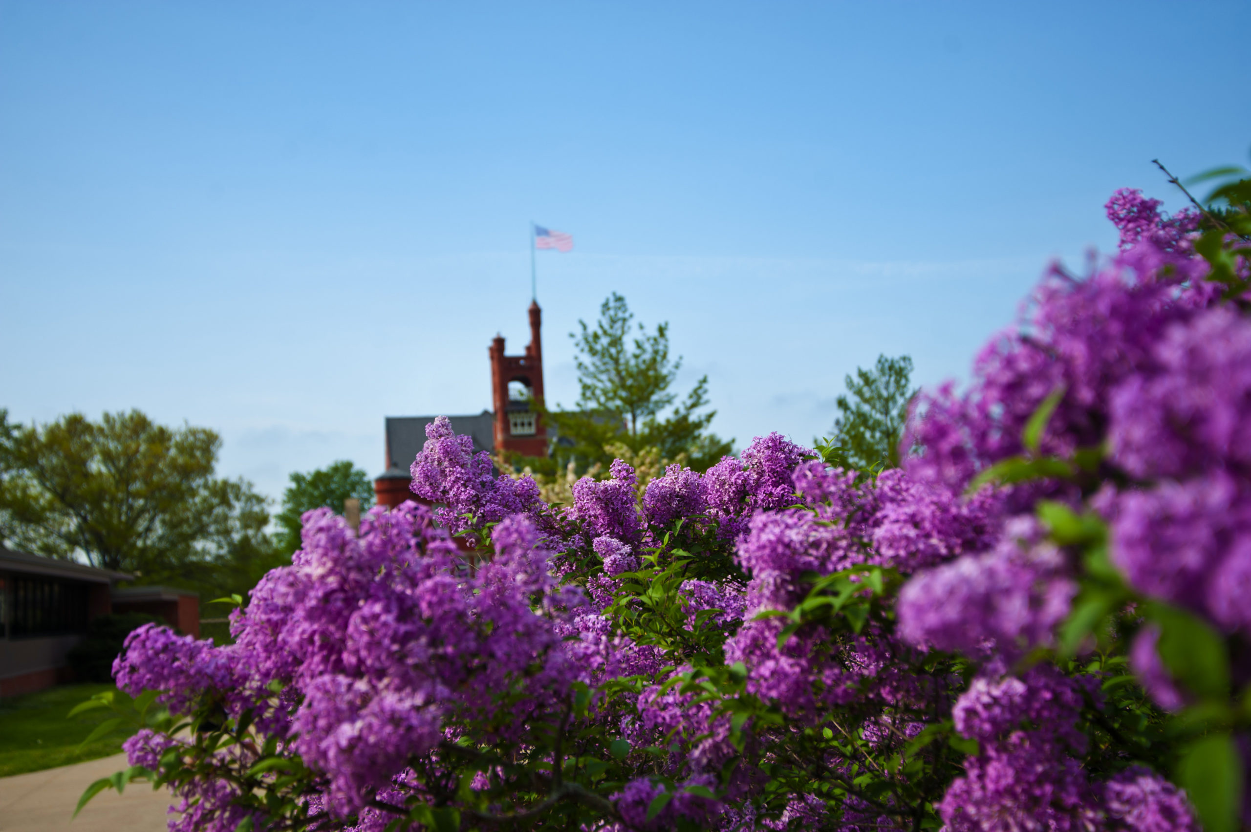 Academic Courses Catalog Graceland University