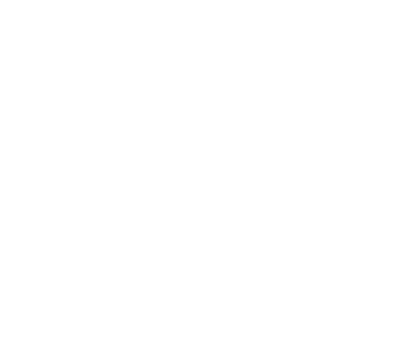 AmeriCorp Seniors