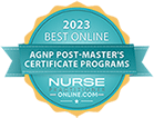 2013 Best Online AGNP Post-Masters Certificate