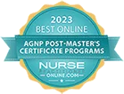 2013 Best Online AGNP Post-Masters Certificate